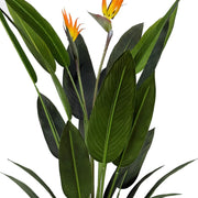 Planta artificial Ave del paraíso H140/160/180 - Vintahome