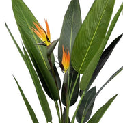Planta artificial Ave del paraíso H140/160/180 - Vintahome