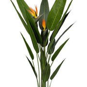 Planta artificial Ave del paraíso H140/160/180 - Vintahome