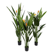 Planta artificial Ave del paraíso H140/160/180 - Vintahome