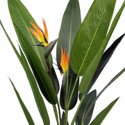 Planta artificial Ave del paraíso H140/160/180 - Vintahome