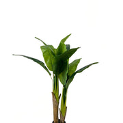 Planta artificial Banana H120 - Vintahome