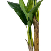 Planta artificial Banana H160 - Vintahome
