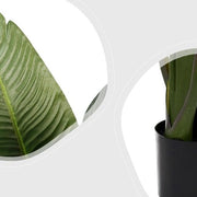 Planta artificial banana viajera H160 - Vintahome