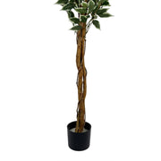 Planta artificial Ficus variegata H180 - Vintahome