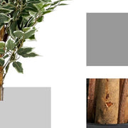 Planta artificial Ficus variegata H180 - Vintahome