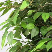 Planta artificial Ficus verde H180 - Vintahome
