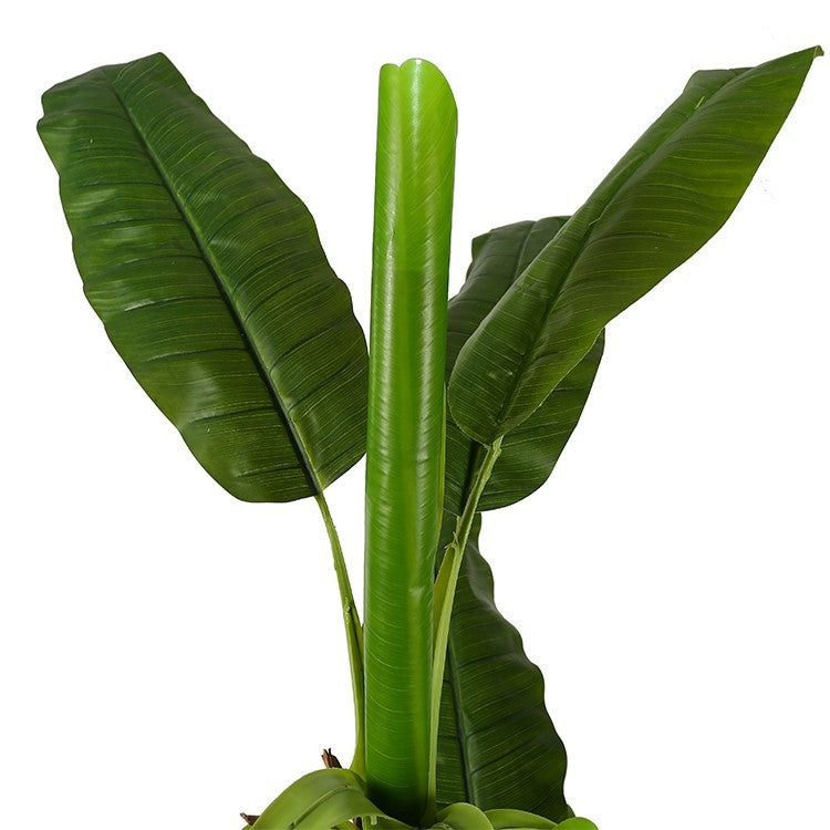 Planta bananera artificial H205