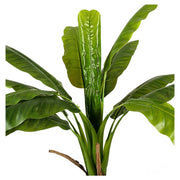 Planta bananera artificial H205