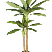 Planta bananera artificial H205