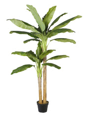 Planta bananera artificial H205