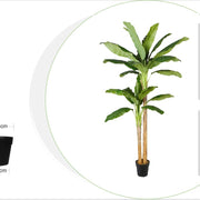 Planta bananera artificial H205