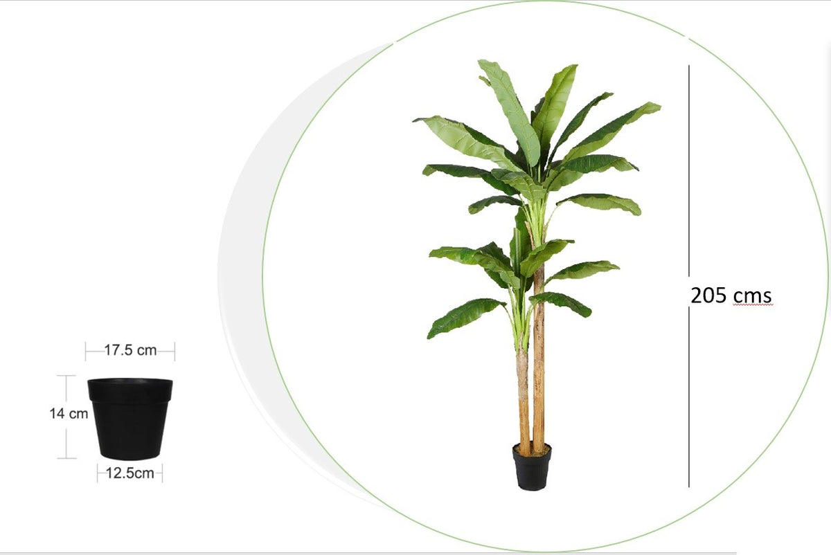 Planta bananera artificial H205