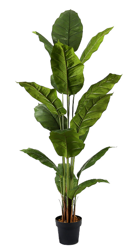 Planta Spathphyllum artificial H180