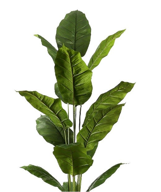 Planta Spathphyllum artificial H180