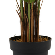 Planta Spathphyllum artificial H180