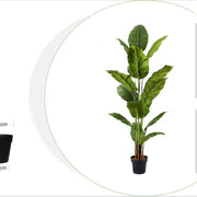 Planta Spathphyllum artificial H180