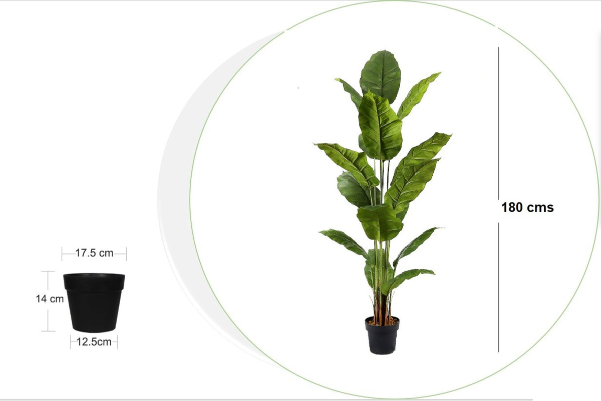Planta Spathphyllum artificial H180