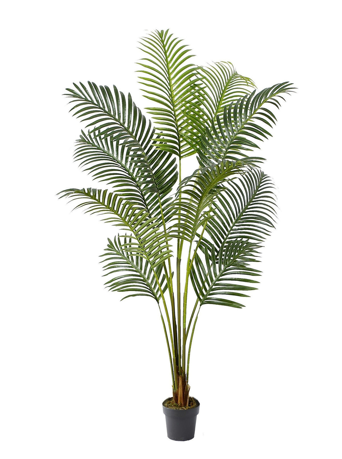 Planta artificial Palmera Hawai H150 hoja grande