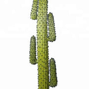 Cactus artificial 205