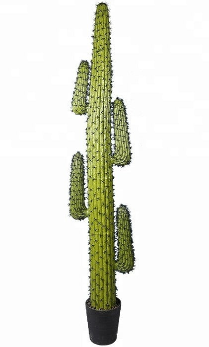 Cactus artificial 205
