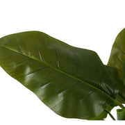 Planta Canna artificial 200