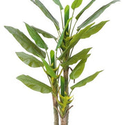 Planta Canna artificial 200