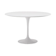 Mesa Tulip MDF 100