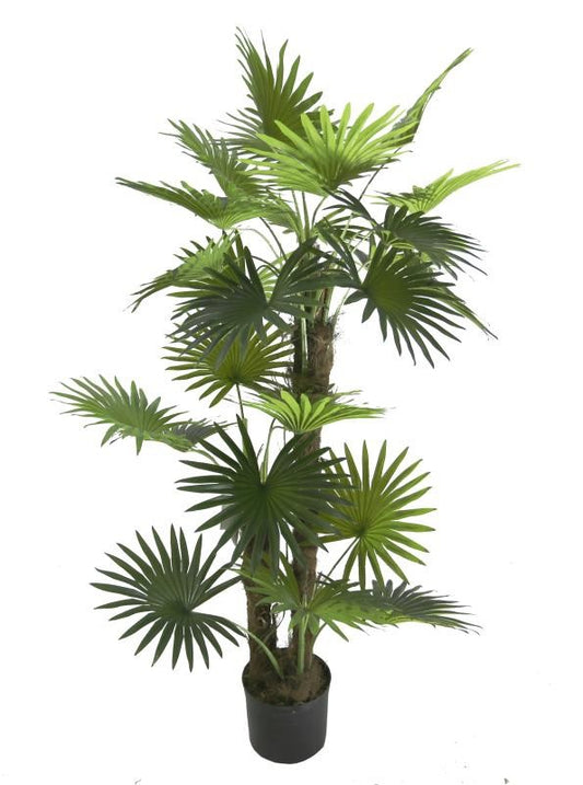 Planta artificial Palmera Fan H150