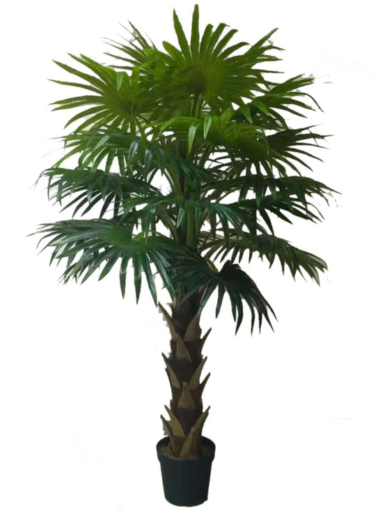 Planta artificial Palmera Fan H180