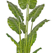 Planta artificial Alocasia tree altura 210