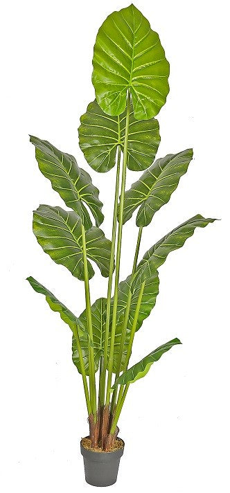 Planta artificial Alocasia tree altura 210